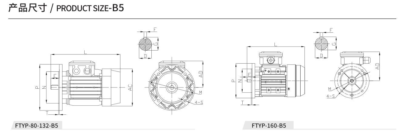 型号：FTYP80-132-B5(图3)